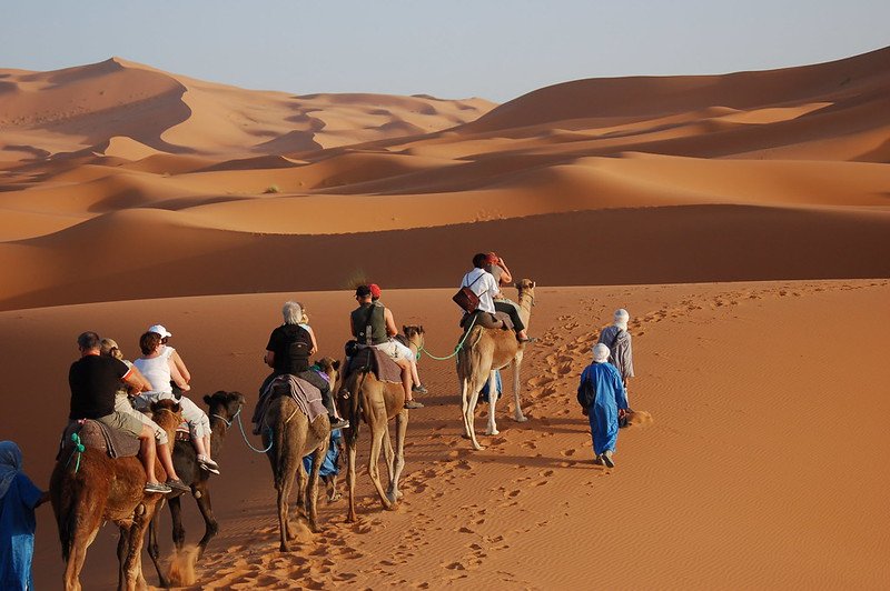 sahara majestic tours