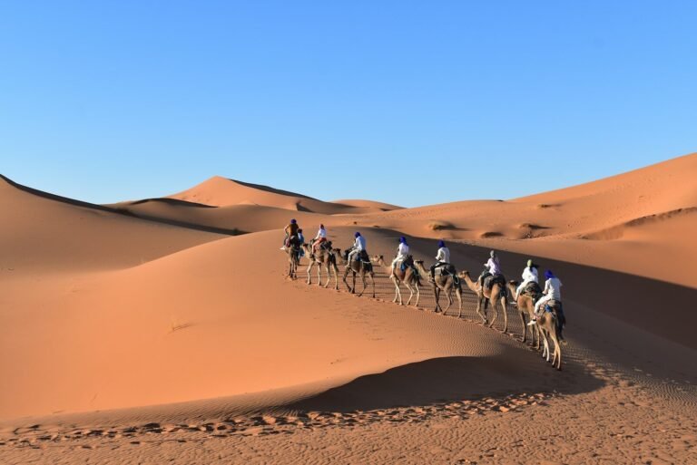 4 Days Desert Tour from Marrakech to Fes