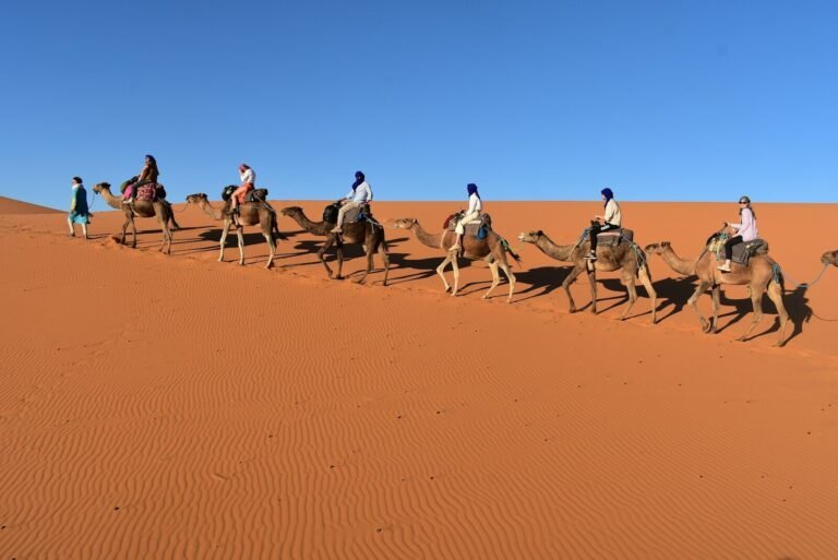 4 Days from Fes to Marrakech Desert Tour